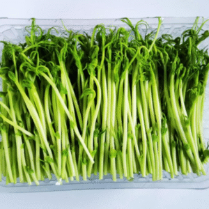 Pea Shoots